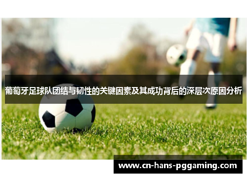 葡萄牙足球队团结与韧性的关键因素及其成功背后的深层次原因分析