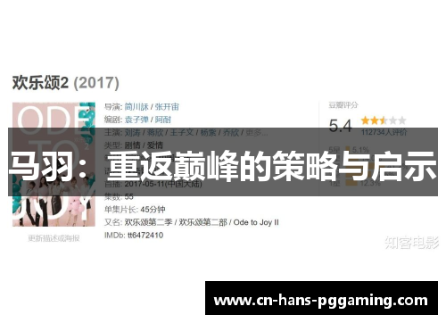 马羽：重返巅峰的策略与启示